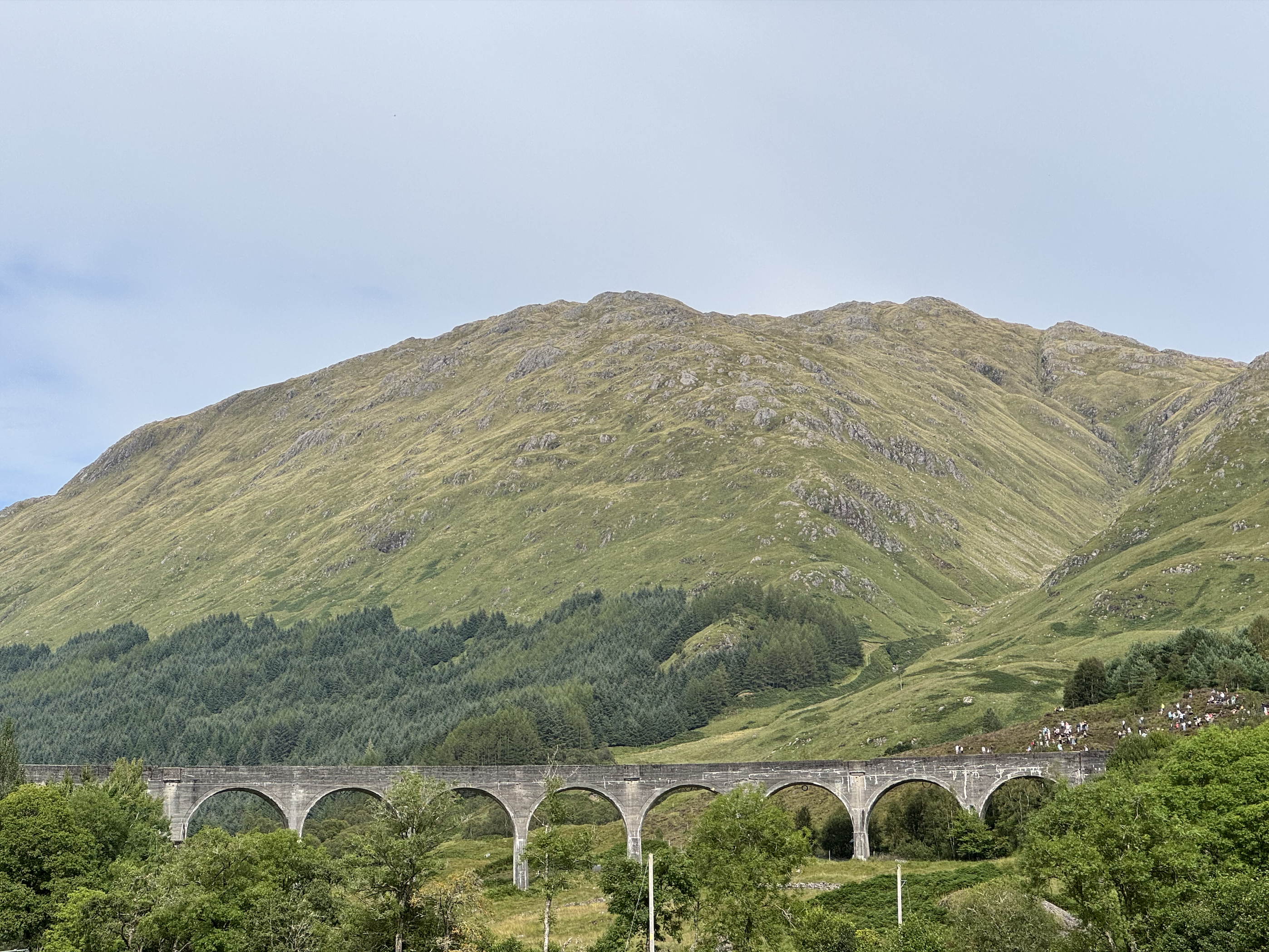 Harry Potter Train